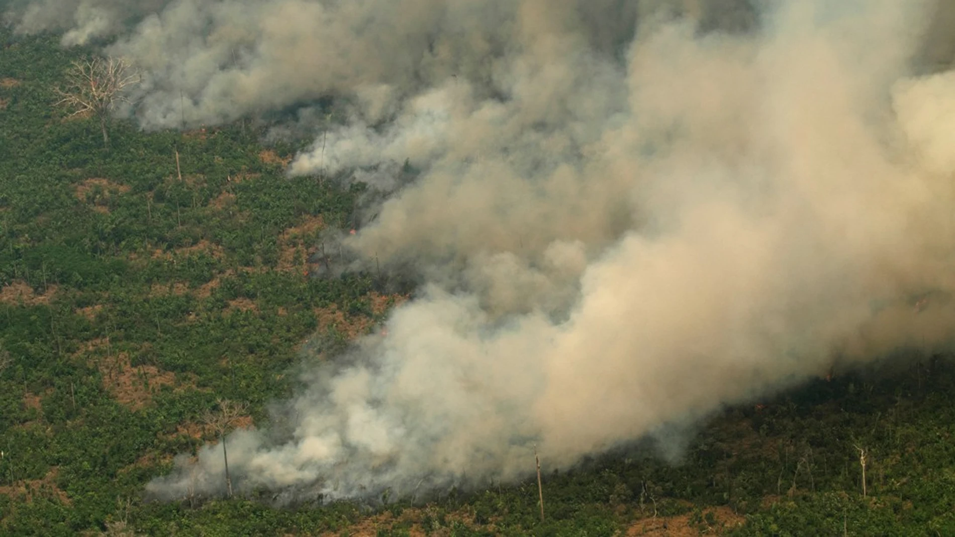 Imagen de los incendios en el Amazonas