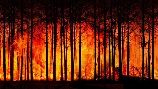 Fotografía de archivo de un incendio Fotografía de archivo de un incendio