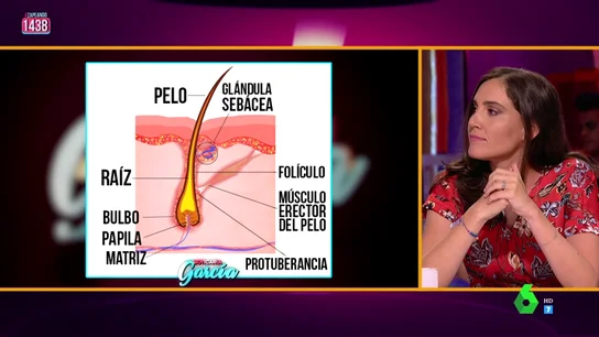 Boticaria García desmiente los mitos de los champús anticaída: "No funcionan porque no pueden atravesar tantas capas" Boticaria García desmiente los mitos de los champús anticaída: "No funcionan porque no pueden atravesar tantas capas"