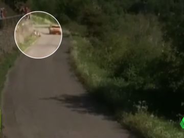 RALLY RALLY