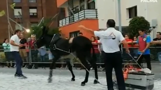 Momento del festejo en el que el burro es golpeado numerosas veces