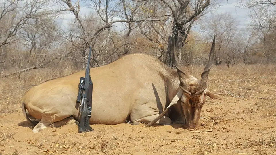 Animal cazado en la granja de Imberba Rakia