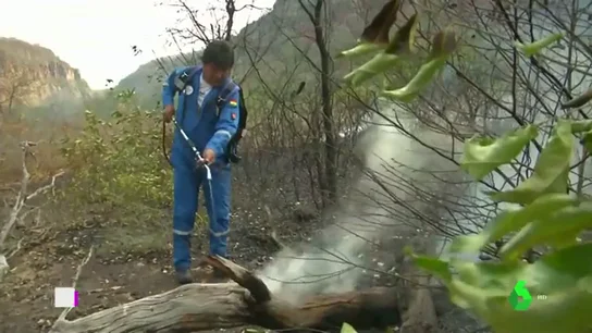 EVO MORALES EVO MORALES