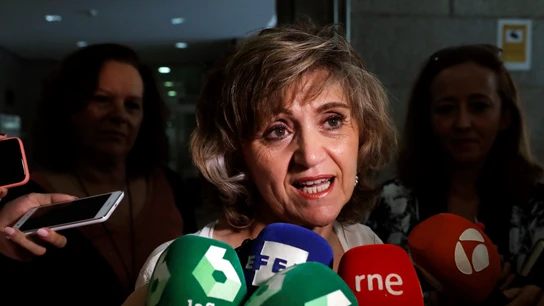 La ministra de Sanidad en funciones, María Luisa Carcedo La ministra de Sanidad en funciones, María Luisa Carcedo