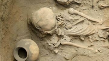 Restos óseos de las excavaciones de Pampa la Cruz