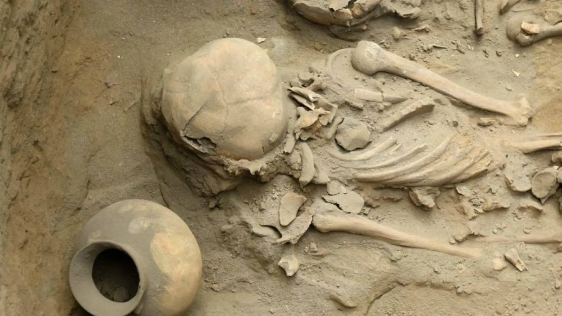 Restos óseos de las excavaciones de Pampa la Cruz