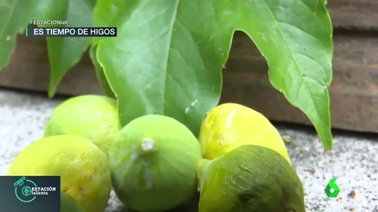 Mermelada de higos: la receta ecológica y fácil para este septiembre Mermelada de higos: la receta ecológica y fácil para este septiembre