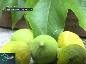 Mermelada de higos: la receta ecológica y fácil para este septiembre Mermelada de higos: la receta ecológica y fácil para este septiembre