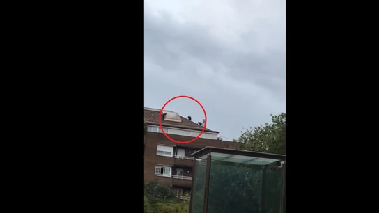 Ladrones en los tejados de Barcelona Ladrones en los tejados de Barcelona