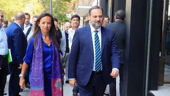 El ministro en funciones de Fomento, José Luis Ábalos El ministro en funciones de Fomento, José Luis Ábalos