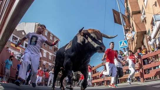 Encierros de Sanse 2019 (31-08-19) Encierros de Sanse 2019 (31-08-19)