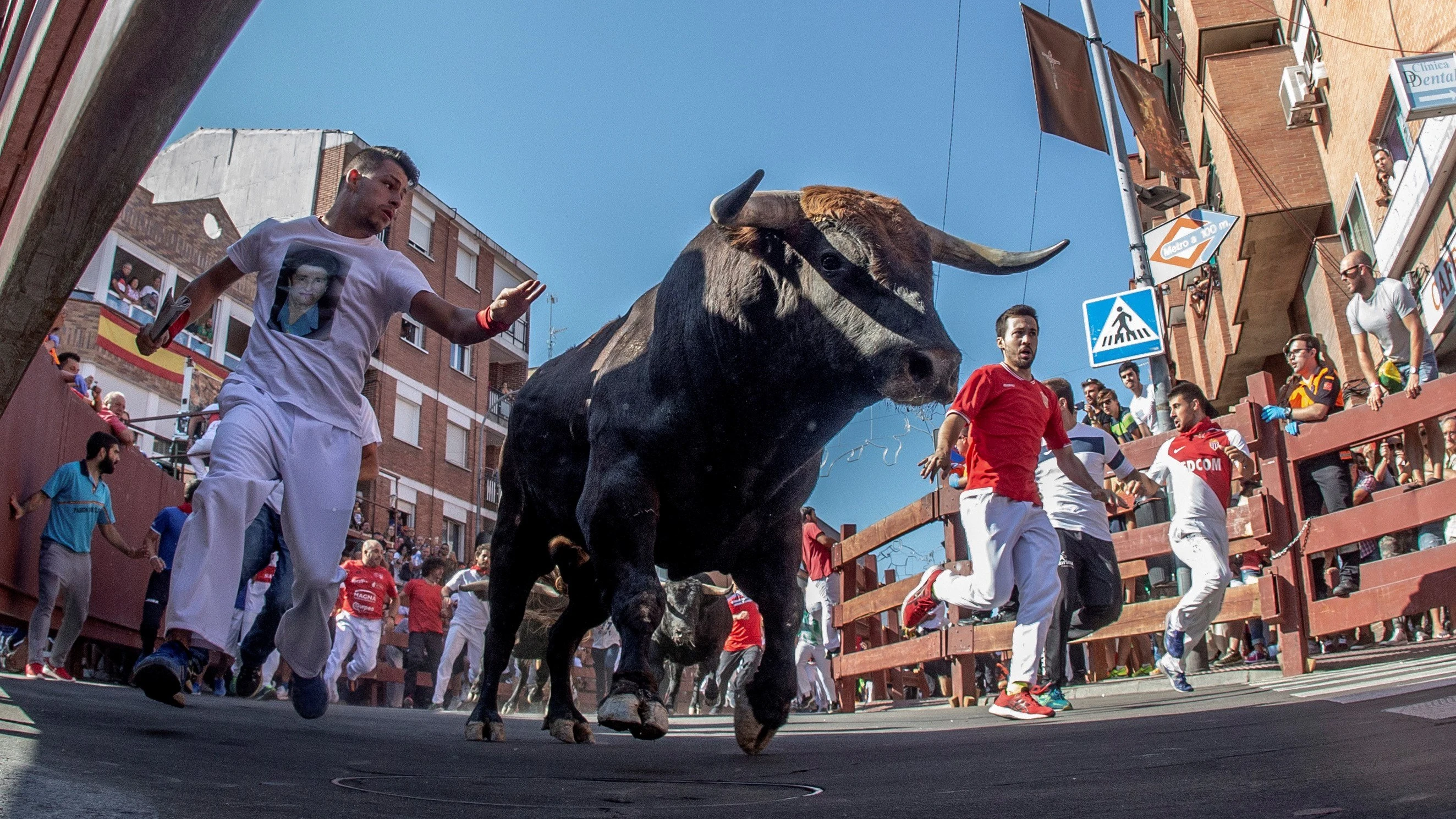 Encierros de Sanse 2019 (31-08-19)