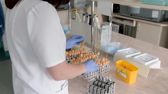 Sanitaria en un laboratorio Sanitaria en un laboratorio.