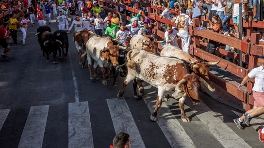 Imagen del sexto encierro de San Sebastián de los Reyes en 2019. Imagen del sexto encierro de San Sebastián de los Reyes en 2019.