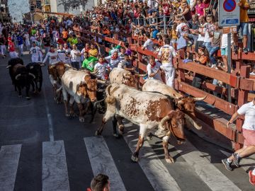 El sexto y último encierro de San Sebastián de los Reyes El sexto y último encierro de San Sebastián de los Reyes