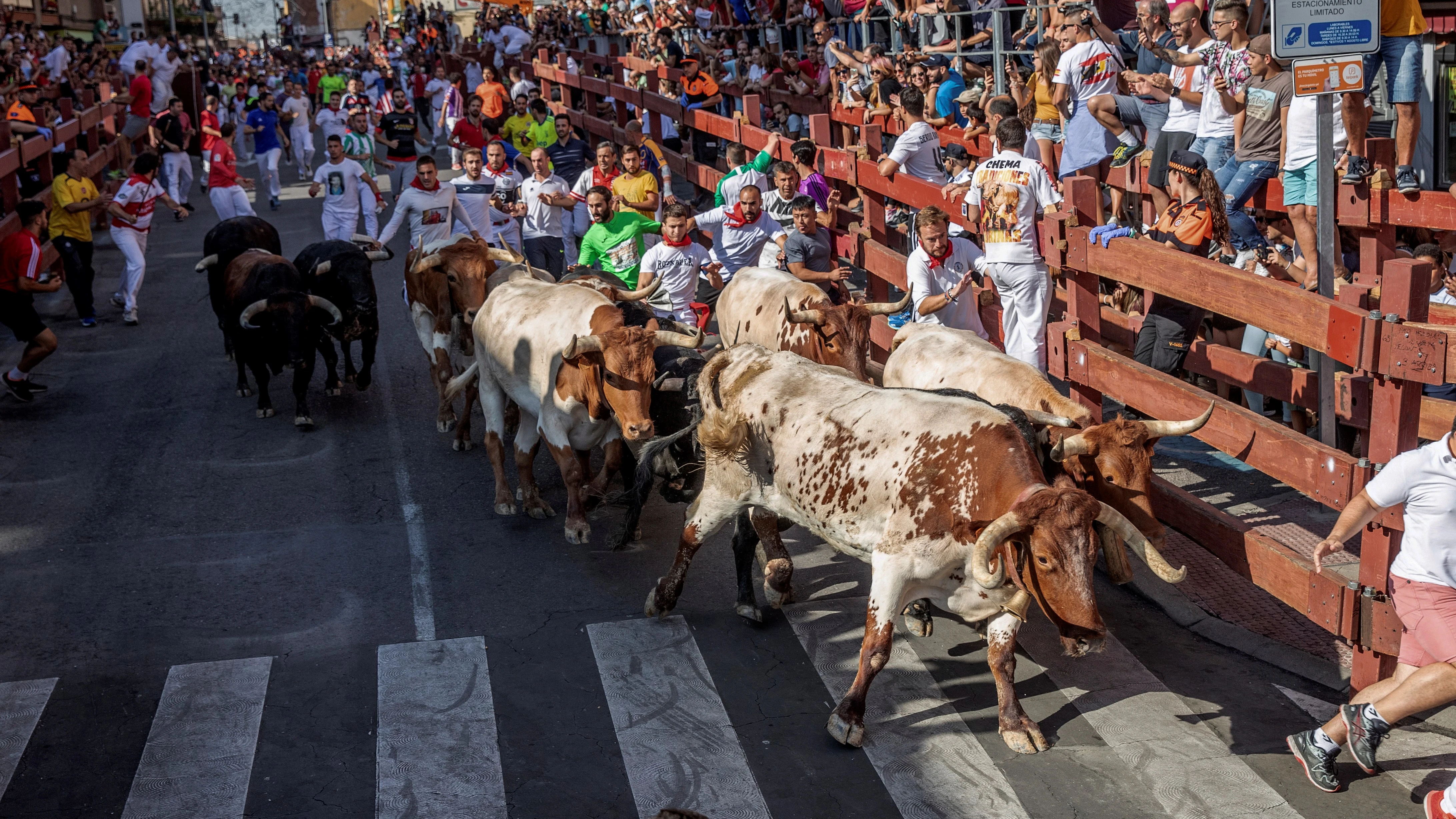 Imagen del sexto encierro de San Sebastián de los Reyes en 2019.