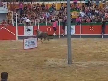 Imagen del toro que se ha escapado de la plaza en Girona y ha herido a 17 personas Imagen del toro que se ha escapado de la plaza en Girona y ha herido a 17 personas