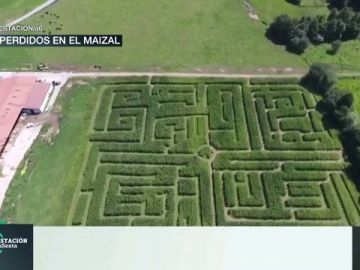 Así es el gigantesco laberinto de maíz de Cantabria: un lugar para perderse en plena naturaleza Así es el gigantesco laberinto de maíz de Cantabria: un lugar para perderse en plena naturaleza