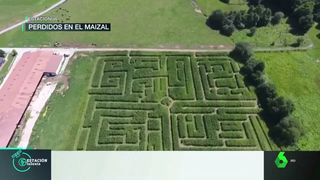 Así es el gigantesco laberinto de maíz de Cantabria: un lugar para perderse en plena naturaleza