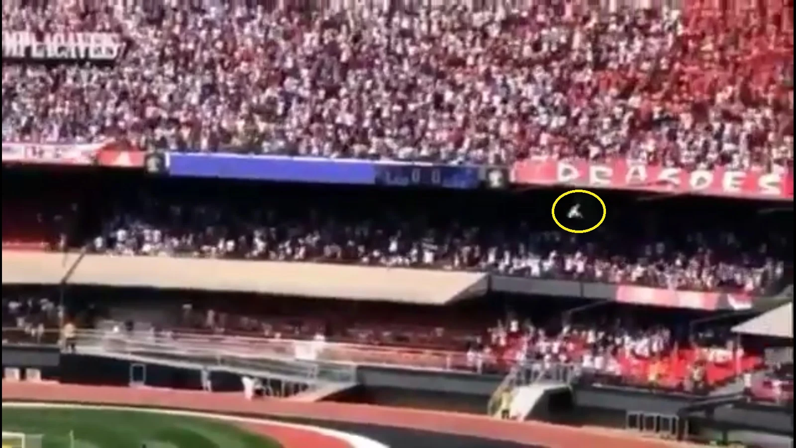 Aficionado cayendo desde las gradas del estadio Morumbí