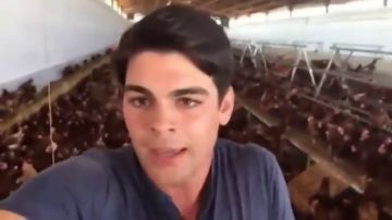 Un ganadero responde a las animalistas que defienden a las "gallinas violadas": "Sin nosotros las veganas no comerían hierba"
