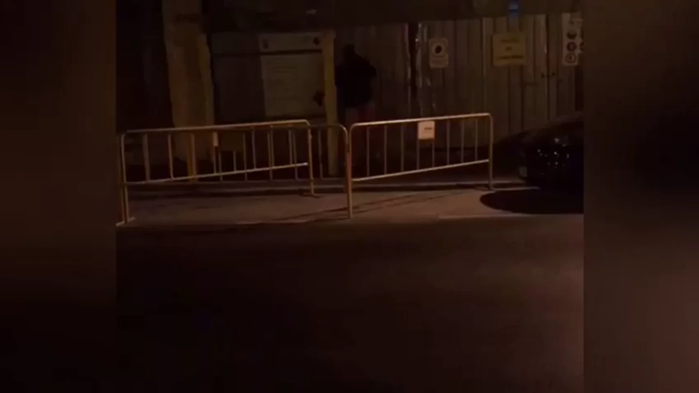 Brutal paliza de un hombre a su pareja en plena calle en Málaga: dos testigos lograron rescatarla Brutal paliza de un hombre a su pareja en plena calle en Málaga: dos testigos lograron rescatarla
