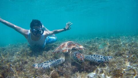 Apo Island 