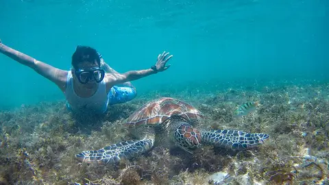Apo Island Apo Island