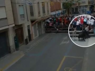 Muere un hombre de 69 años tras ser embestido por una vaca en Llíria, Valencia Muere un hombre de 69 años tras ser embestido por una vaca en Llíria, Valencia