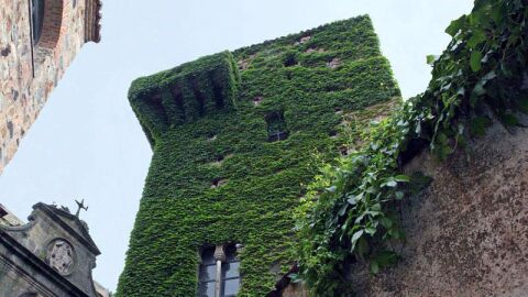 Hotel Restaurante Atrio