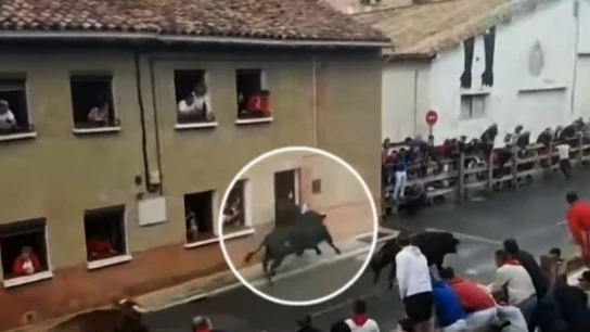 Un joven recibe una cornada en Navarra Un joven recibe una cornada en Navarra