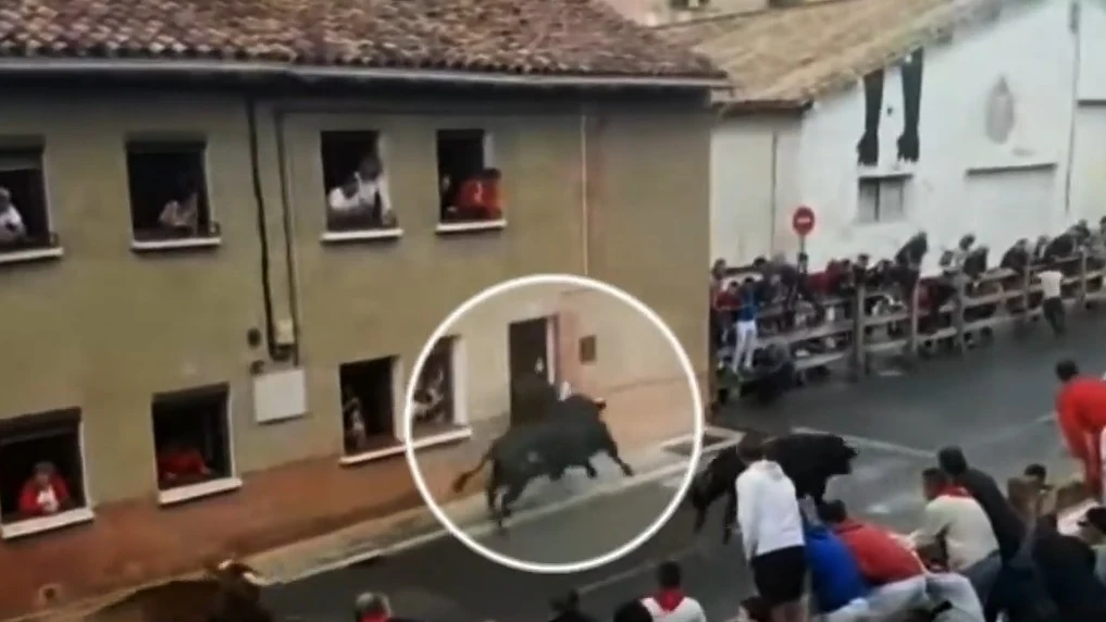 Un joven recibe una cornada en Navarra