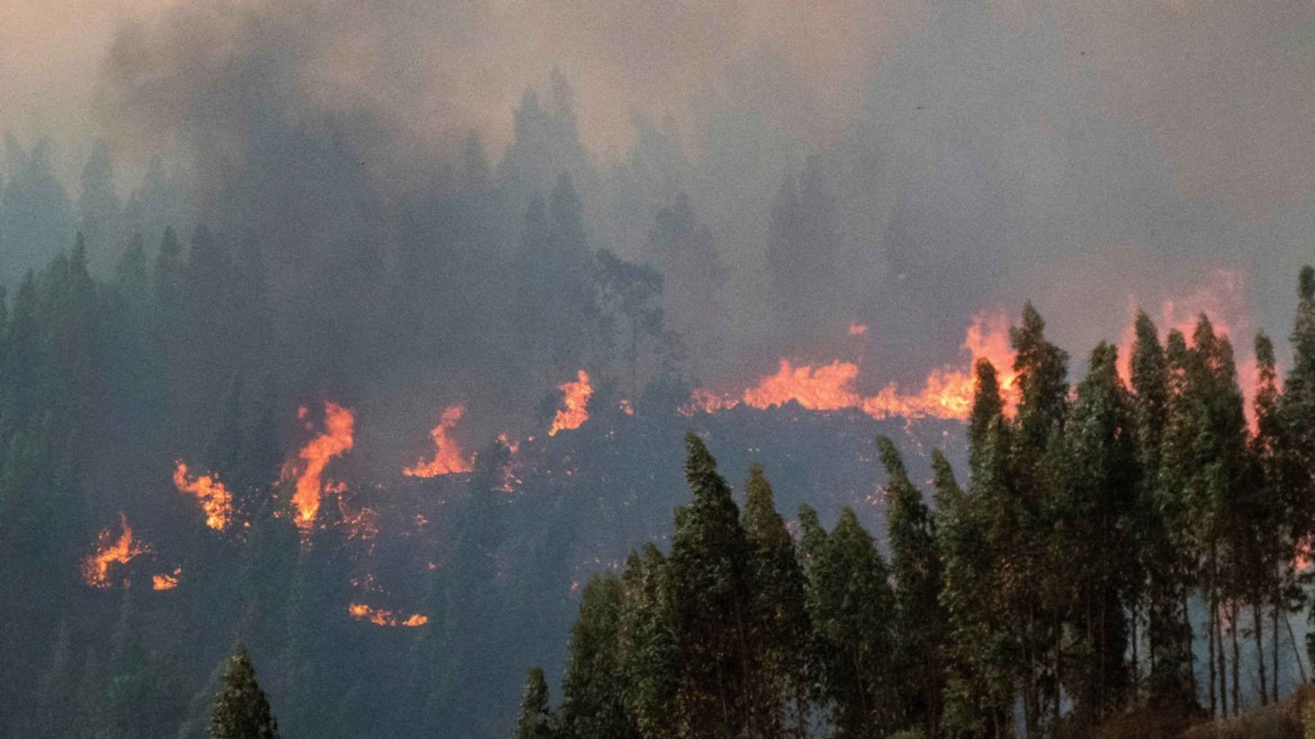 Imagen del incendio forestal en Huelva