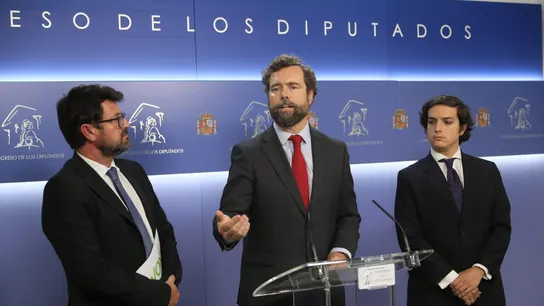 El portavoz de Vox en el Congreso, Iván Espinosa de los Monteros El portavoz de Vox en el Congreso, Iván Espinosa de los Monteros