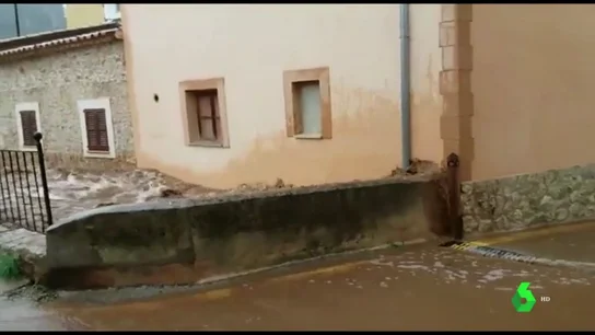 Coger el coche, comer peces muertos o el 'turismo de inundación': los peligros a evitar tras el paso de la gota fría Coger el coche, comer peces muertos o el 'turismo de inundación': los peligros a evitar tras el paso de la gota fría