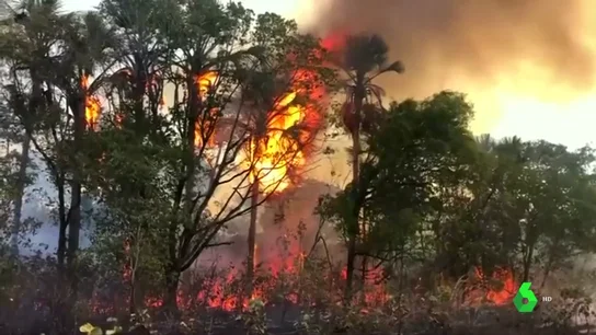Parte de la Amazonia quemada ya había sido explotada en 2016 Parte de la Amazonia quemada ya había sido explotada en 2016