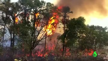 Parte de la Amazonia quemada ya había sido explotada en 2016
