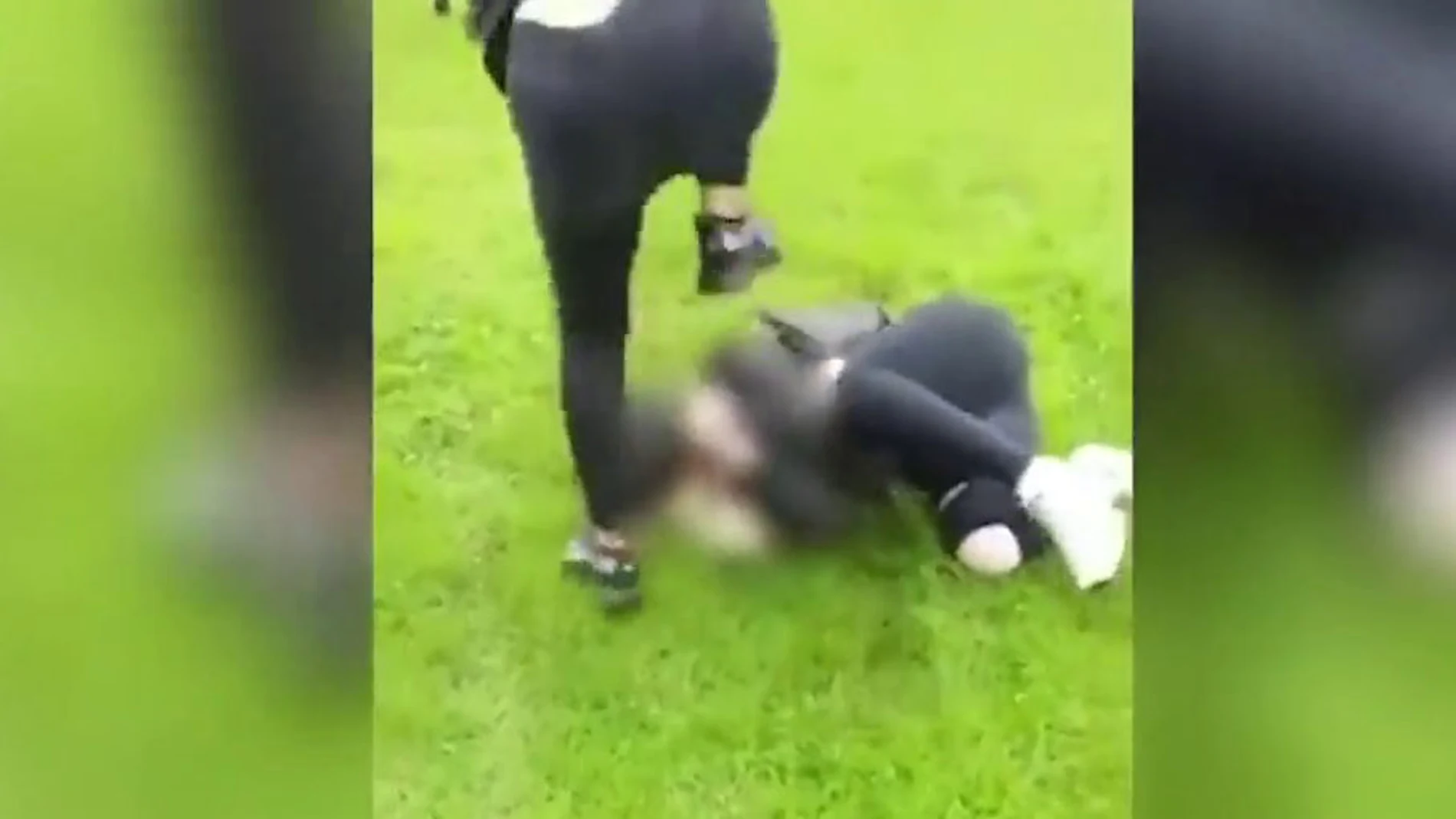Graban cómo una joven patea la cabeza de una chica de 14 años delante de sus compañeros