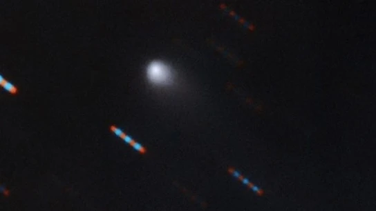 El cometa Borisov o C/2019 Q4 El cometa Borisov o C/2019 Q4