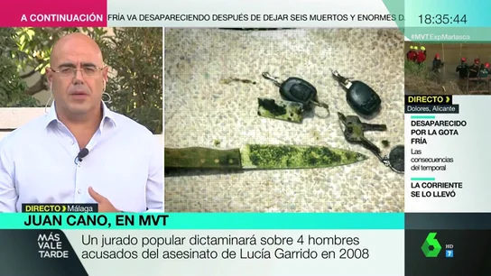Comienza el juicio por el asesinato de Lucía Garrido en 2008: apareció muerta en la piscina de su casa Comienza el juicio por el asesinato de Lucía Garrido en 2008: apareció muerta en la piscina de su casa