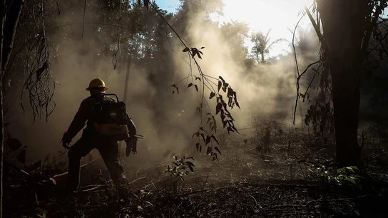 Incendios en la Amazonia brasileña Incendios en la Amazonia brasileña
