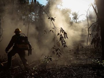 Incendios en la Amazonia brasileña Incendios en la Amazonia brasileña