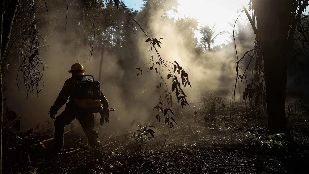 Incendios en la Amazonia brasileña