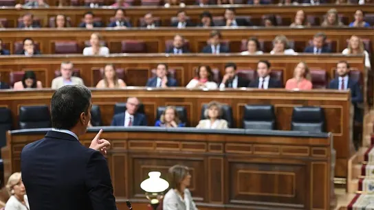 El presidente del Gobierno en funciones, Pedro Sánchez El presidente del Gobierno en funciones, Pedro Sánchez