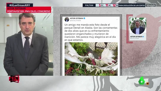Aitor Esteban Aitor Esteban
