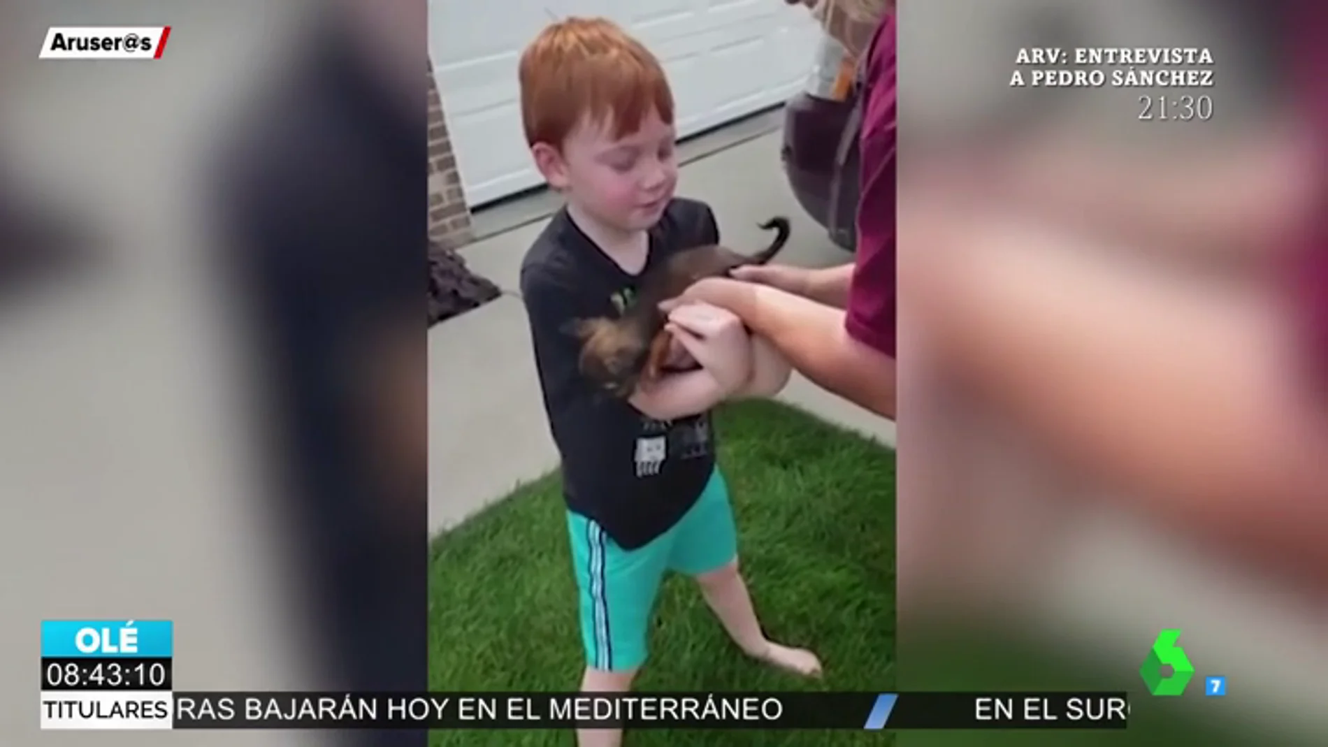 La emotiva reacción de un niño de seis años al ver que sus padres le regalan un cachorro