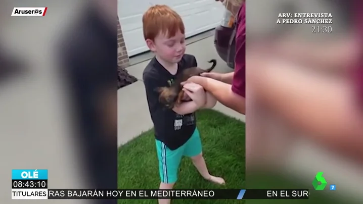 La emotiva reacción de un niño de seis años al ver que sus padres le regalan un cachorro