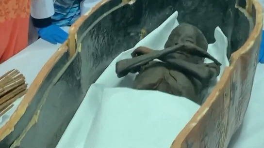 Imagen de las momias trasladas a un museo de Egipto Imagen de las momias trasladas a un museo de Egipto