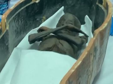 Imagen de las momias trasladas a un museo de Egipto Imagen de las momias trasladas a un museo de Egipto