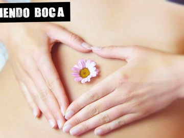Flora intestinal Flora intestinal